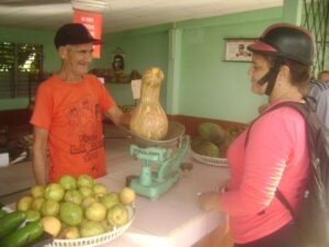 Lee más sobre el artículo Prices of Acopio reduced in Majagua