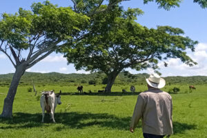Lee más sobre el artículo Planifica municipio avileño adaptación al cambio climático