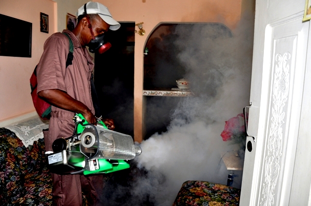 Lee más sobre el artículo Actions against arbovirosis persist in Majagua