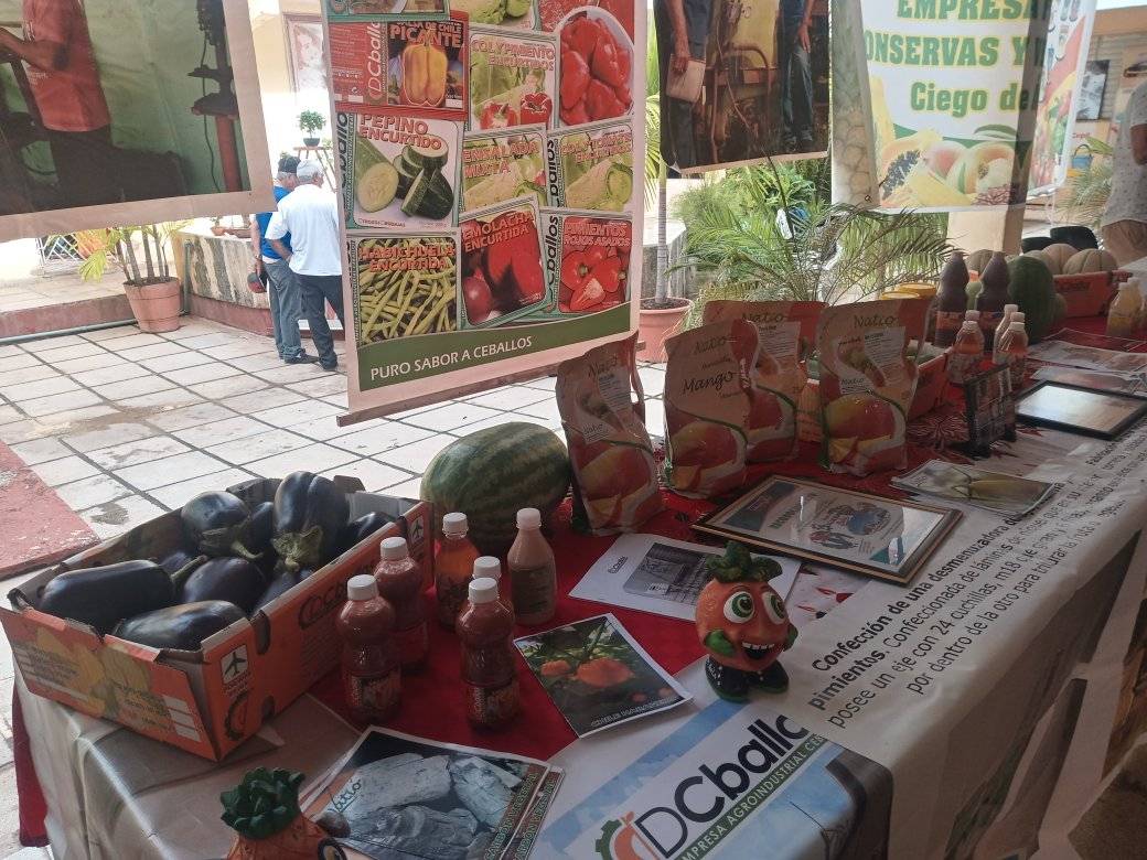 En este momento estás viendo Exhiben productos DCeballos en evento InterGest