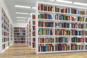 Lee más sobre el artículo Las bibliotecas: vitalidad y resguardo de un tesoro en papel