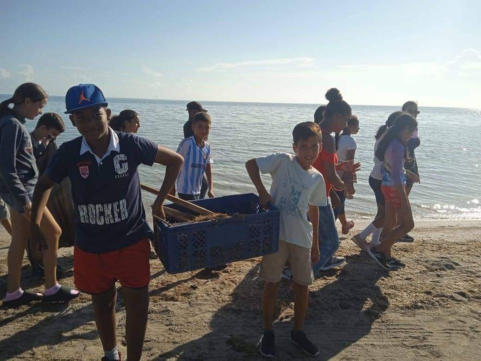 Lee más sobre el artículo Activa participación estudiantil en favor del Medio Ambiente