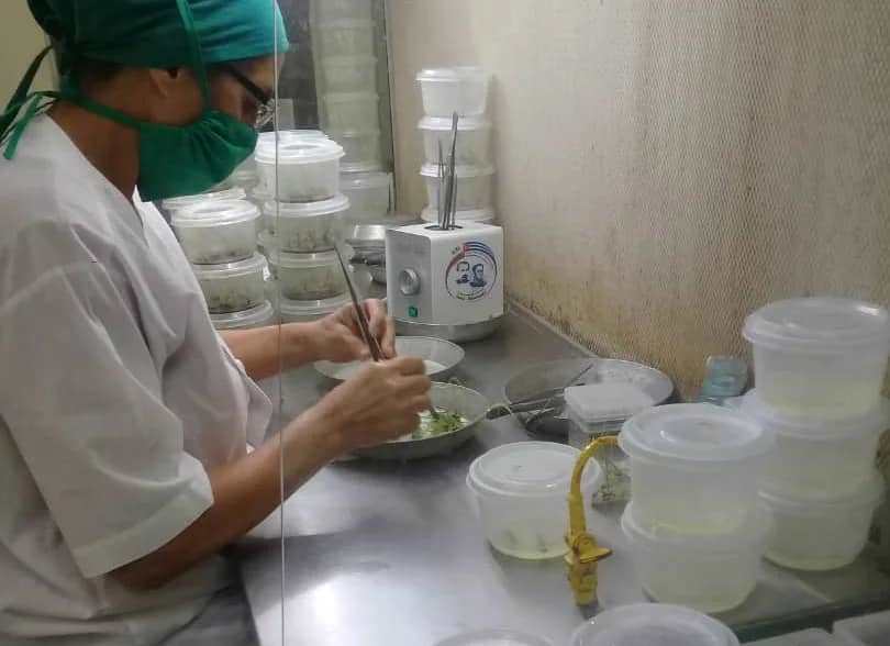 En este momento estás viendo Labora el Centro de Bioplantas en enraizamiento de variedades de caña