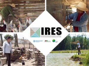 Lee más sobre el artículo Cuba presents climate resilience project at COP28