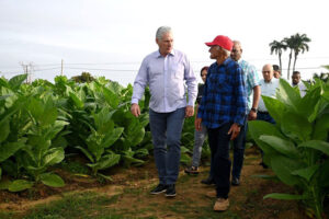 Lee más sobre el artículo Cuba sí puede avanzar y crecer