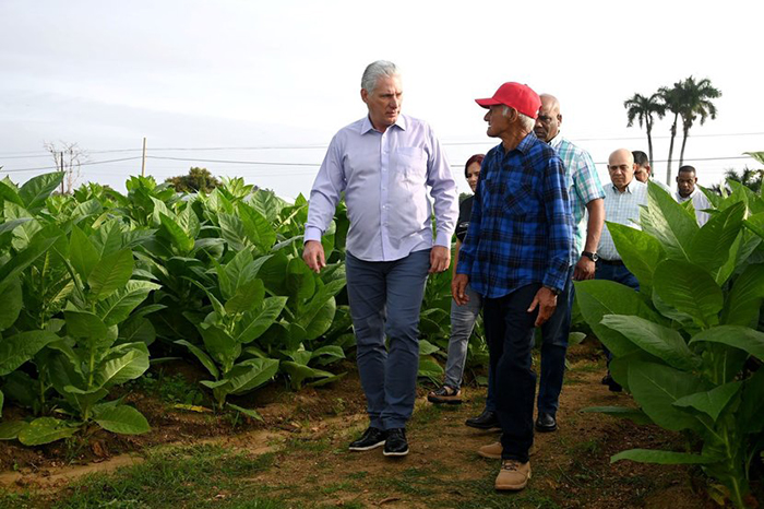 En este momento estás viendo Cuba sí puede avanzar y crecer
