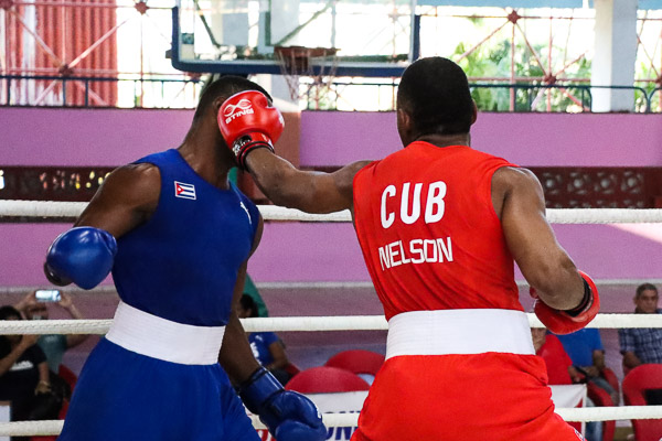 En este momento estás viendo Torneo Playa Girón de Boxeo ya tiene cuatro finalistas