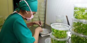 Lee más sobre el artículo Los avileños se destacan por hacer Ciencia desde el corazón