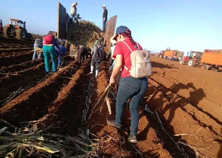 Lee más sobre el artículo Arranca en Ciego de Ávila «maquinaria» del XXII Congreso obrero