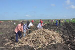 Lee más sobre el artículo El 2024 año de retos y resistencia creativa para Cuba