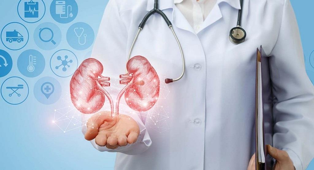 En este momento estás viendo Cuba prepara Congreso Nacional de Urología