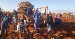 Lee más sobre el artículo Jornada Nacional de Trabajo Voluntario