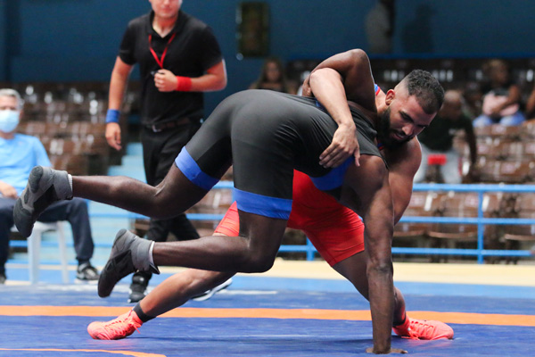 En este momento estás viendo Tres medallas para grequistas en Panamericano de Luchas