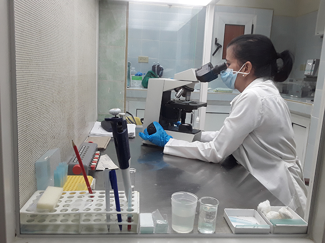 En este momento estás viendo Exhiben logros expertos del Centro de Reproducción Asistida en Ciego de Ávila