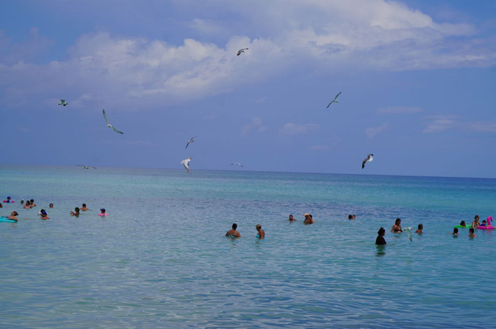 En este momento estás viendo Naturaleza sorprendente en Jardines del Rey
