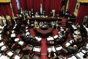 Lee más sobre el artículo Comienza análisis de Ley Ómnibus en Senado argentino
