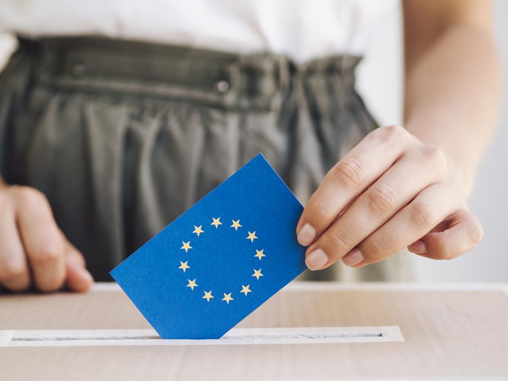 En este momento estás viendo Europeans begin decisive European Parliament elections
