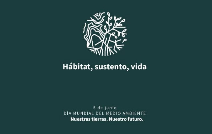 En este momento estás viendo Cuba llama a frenar desertificación en Día Mundial de Medio Ambiente