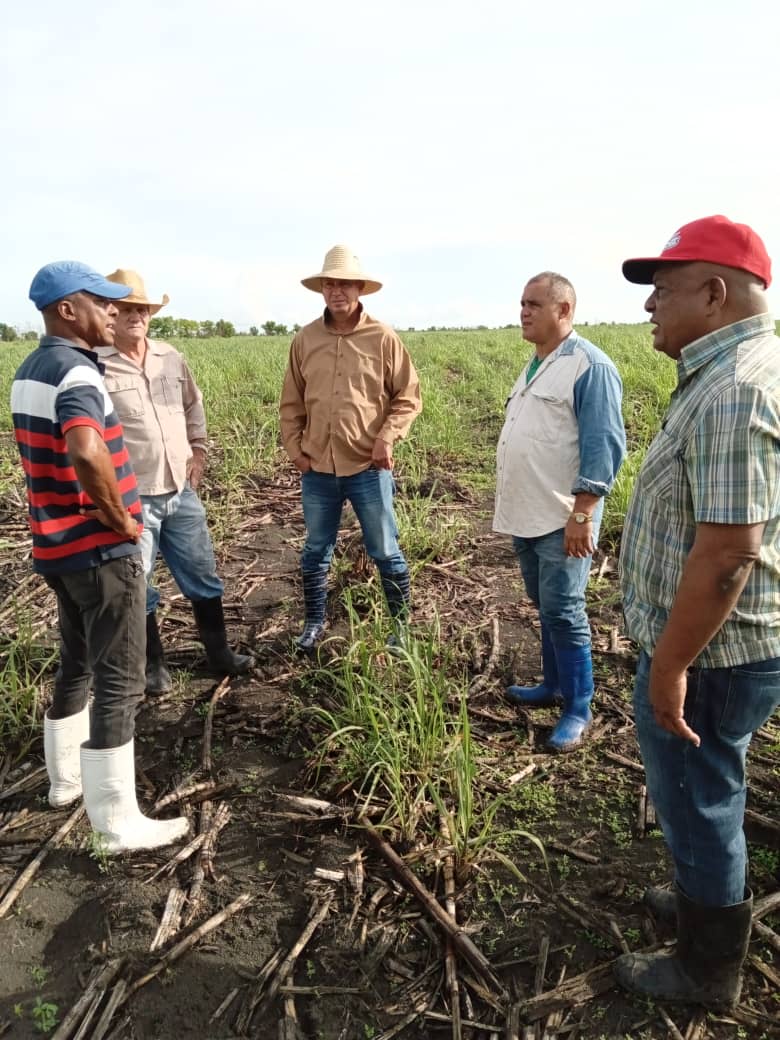 En este momento estás viendo Participa primer secretario provincial del Partido en labores productivas en Chambas