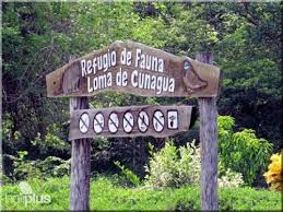 Lee más sobre el artículo Recuerdan Forestales visita de Fidel a La Loma de Cunagua