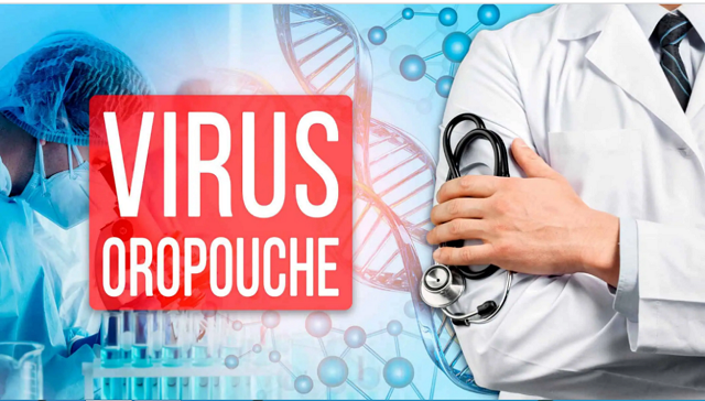 En este momento estás viendo Oropouche fever confirmed to be circulating in Chambas