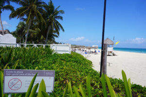 Lee más sobre el artículo Respeto ambiental: premisa para el Hotel Meliá Cayo Coco