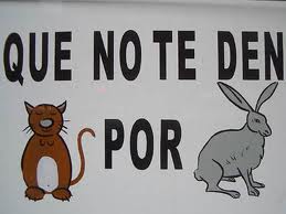 Lee más sobre el artículo No más gato por liebre