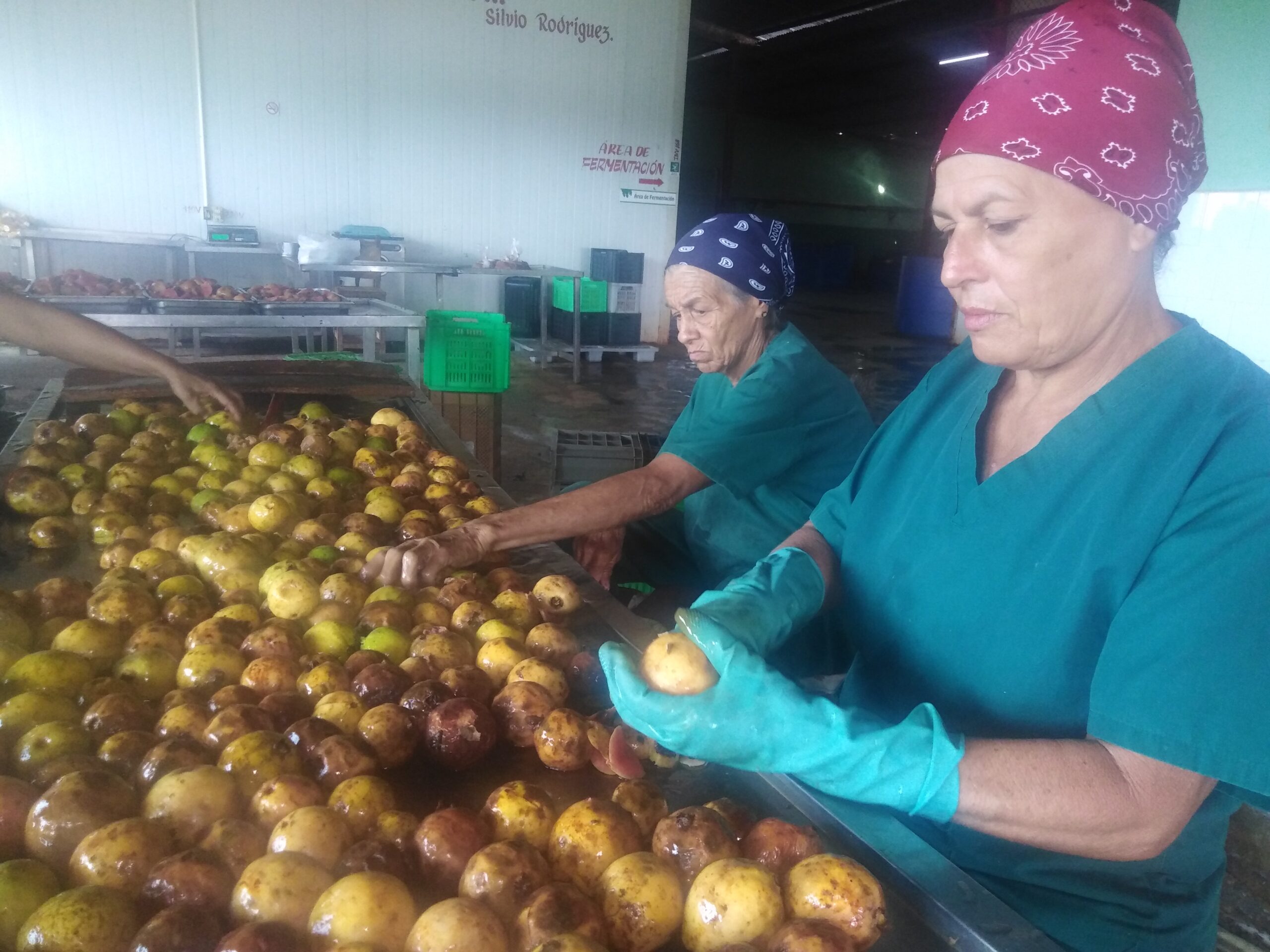 Lee más sobre el artículo Día del Trabajador Agropecuario: Por más alimentos