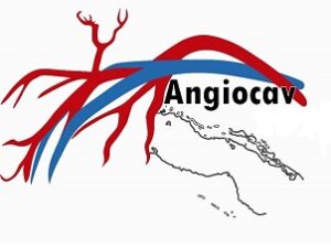 Lee más sobre el artículo Ciego de Ávila es sede de IV Jornada de Angiología y Cirugía Vascular