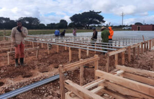 Lee más sobre el artículo Nursery will ensure reforestation of Avilanian coastal ecosystem