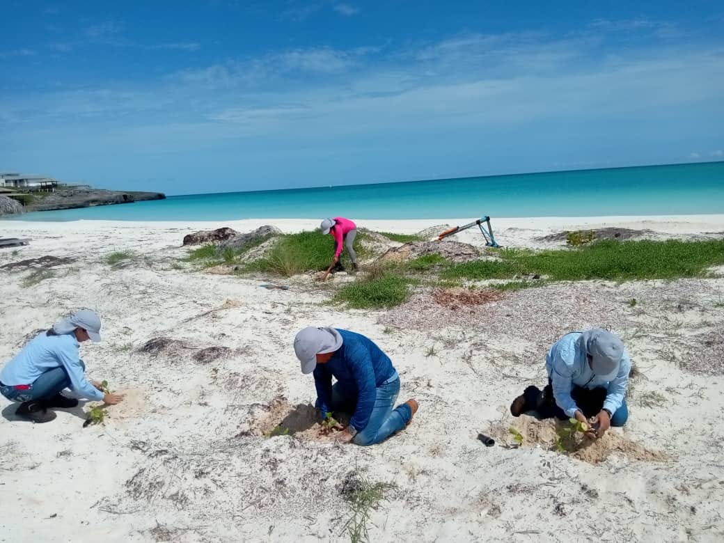 Lee más sobre el artículo Impulsan acciones medioambientales en cayería norte