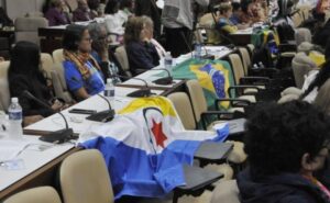 Lee más sobre el artículo From 28 to 31 January, 6th International Conference For a Balance in the World