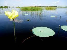 Lee más sobre el artículo The Great Wetland minimises the effects caused by excess rainfall