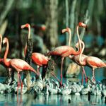 Destacan en Morón importancia de proteger los recursos naturales