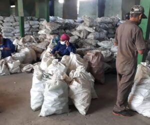 Lee más sobre el artículo Avilanian Solid Waste Collective aims to earn more than 31 million pesos