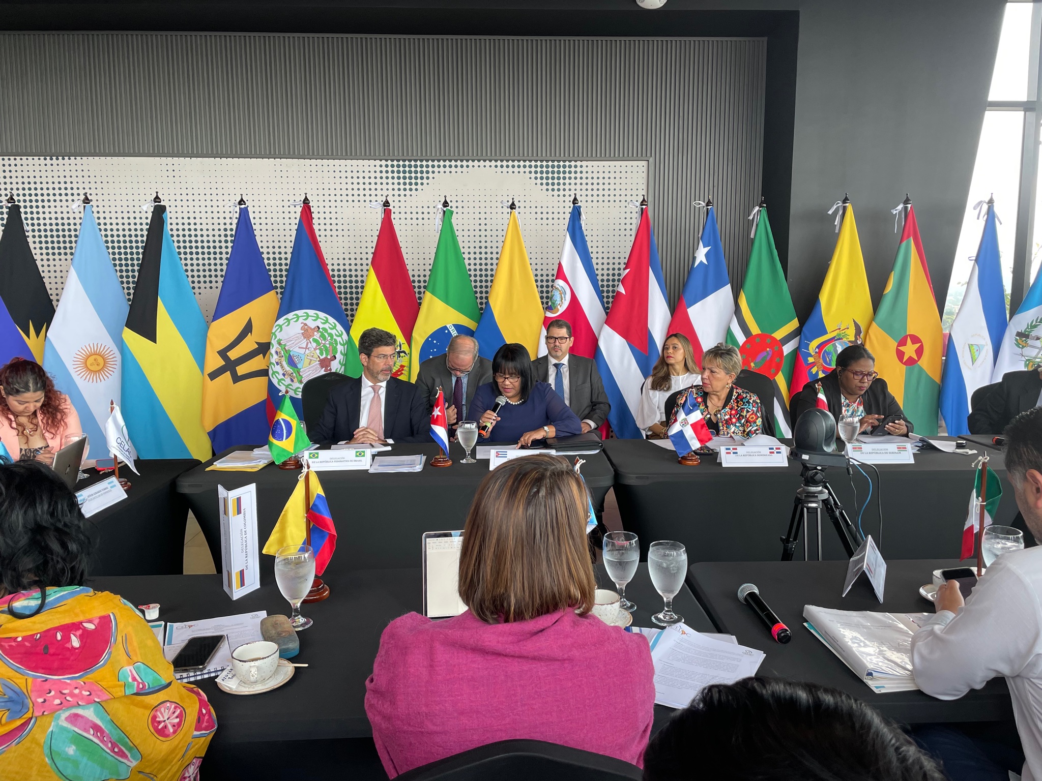 En este momento estás viendo Participa Cuba en cita de Coordinadores Nacionales de la Celac