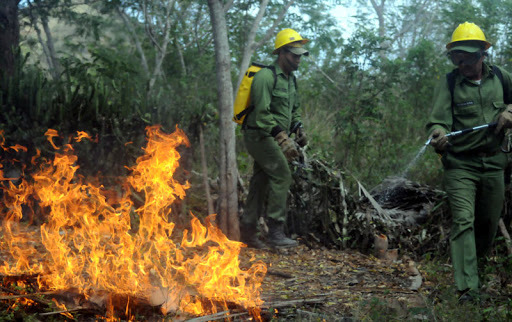 Lee más sobre el artículo Despliegan acciones para evitar incendios forestales