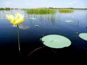 Lee más sobre el artículo Morón urged to protect natural resources