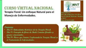 Lee más sobre el artículo Convocan a especialistas avileños a participar en Curso de Terapia Floral