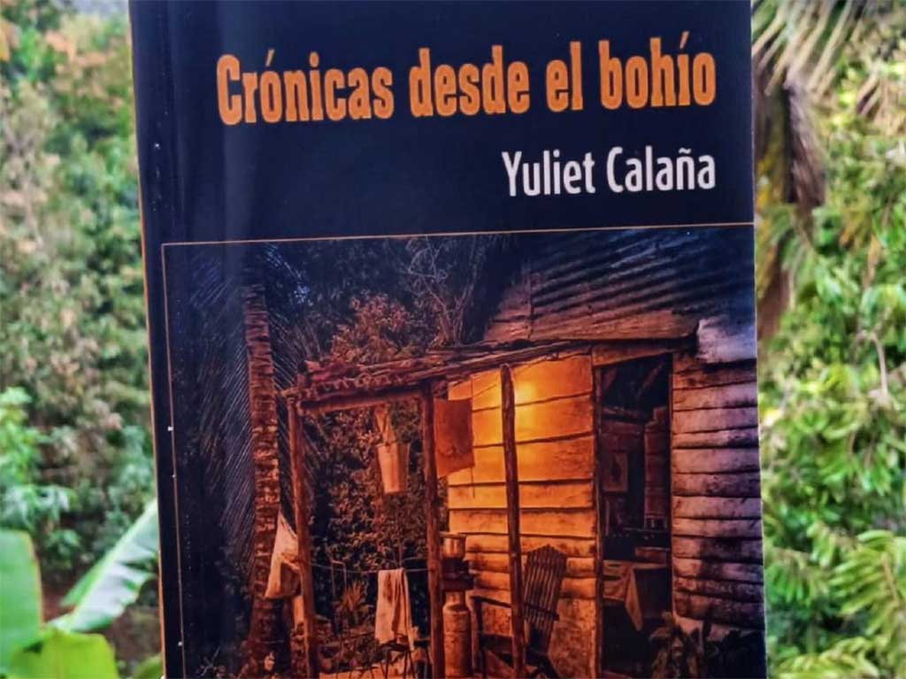 Lee más sobre el artículo Crónicas desde el bohío