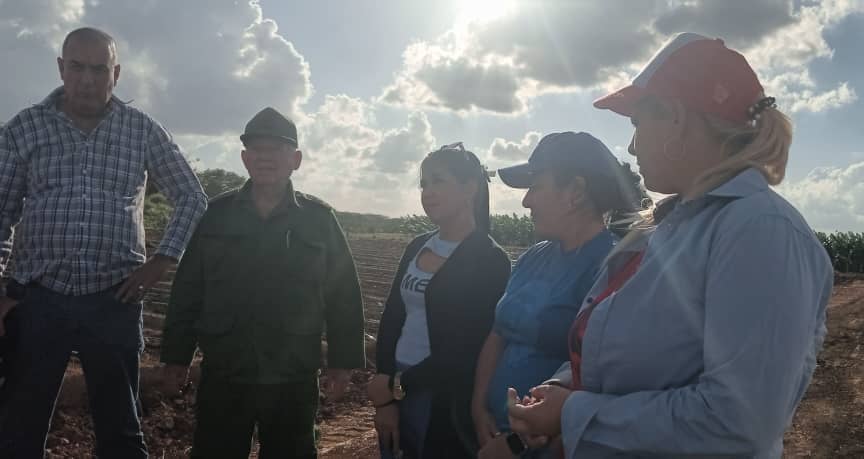 Lee más sobre el artículo En Ciego de Ávila desde el surco la celebración más joven