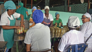 Lee más sobre el artículo The work of Avilanian women is praised