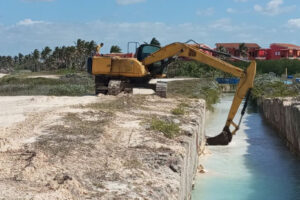 Lee más sobre el artículo Mantienen vitalidad de ecosistema lagunar en Cayo Coco