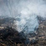 Controlan incendio forestal en Pinar del Río