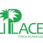 El placer del nuevo mercado (Parte I)
