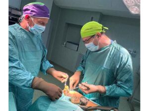 Lee más sobre el artículo Prensa italiana alaba profesionalismo de médicos cubanos en Calabria