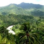 Cuban forests on alert?