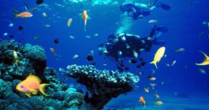Lee más sobre el artículo Aquatic and underwater activities in the north of Ciego de Avila are being expanded.