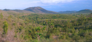 Lee más sobre el artículo Three new protected areas declared in Cuba