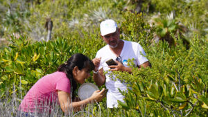 Lee más sobre el artículo Impulsan acciones medioambientales en Jardines del Rey